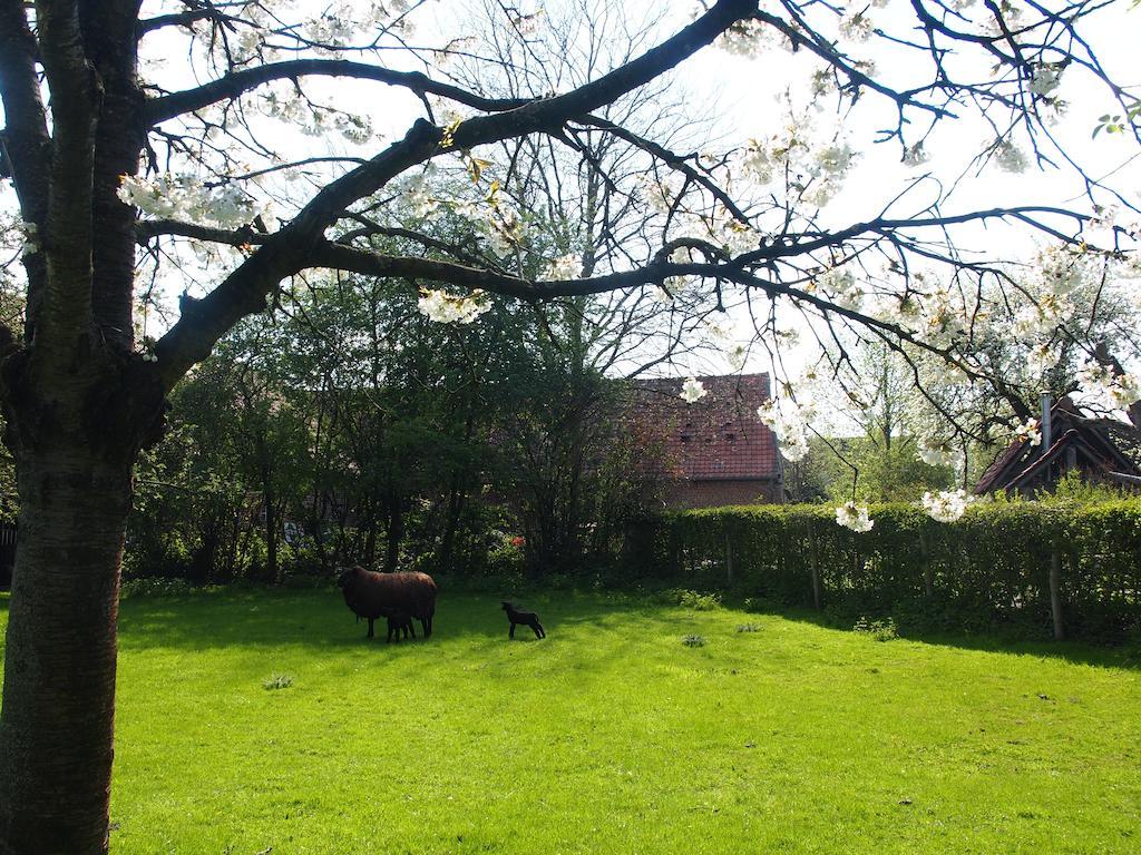 Grote Goesting Holiday House Wevelgem Luaran gambar